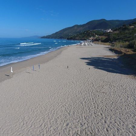 Residence Le Palme - Appartamenti Sul Mare - Spiaggia Tra Palinuro E Caprioli Pisciotta Εξωτερικό φωτογραφία